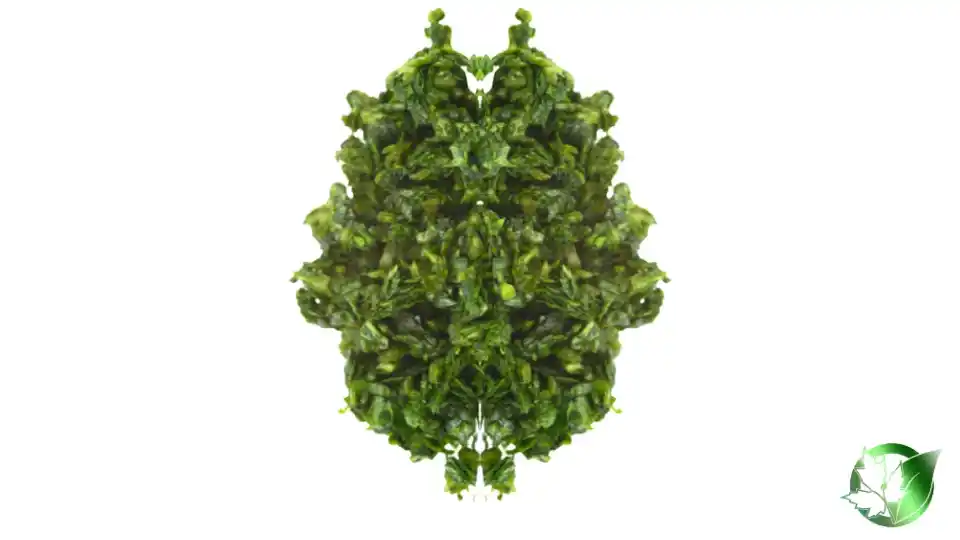 Bulk Frozen Coriander | Suppliers | Wholesale | ParsaFood Global